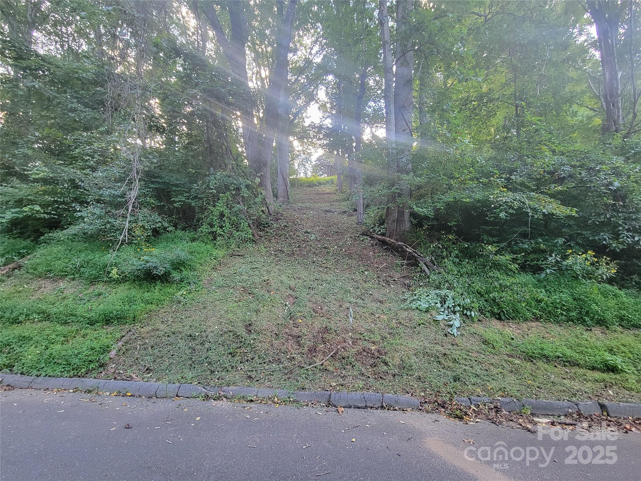 Sulphur Springs Park - Land