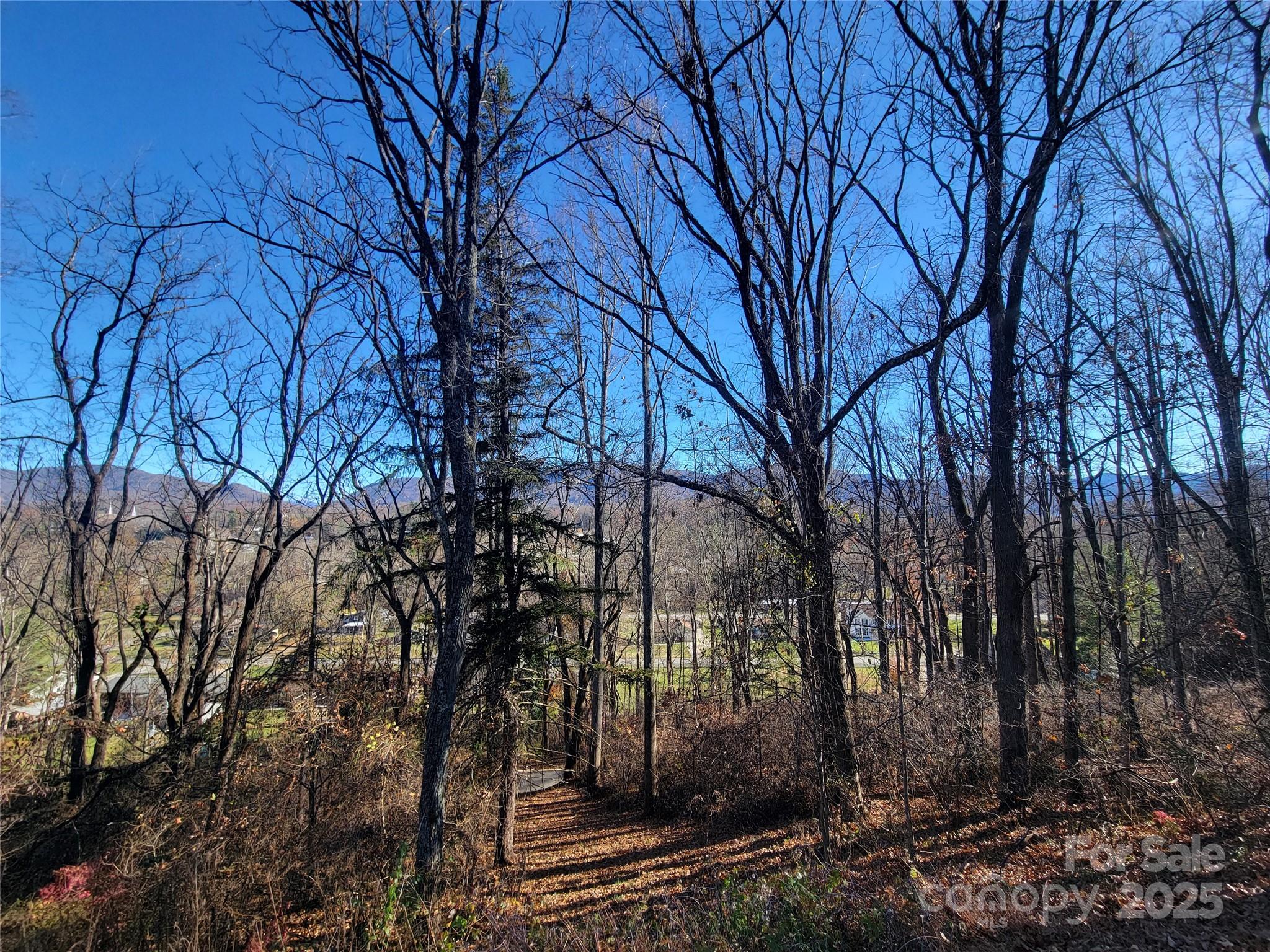 Sulphur Springs Park - Land