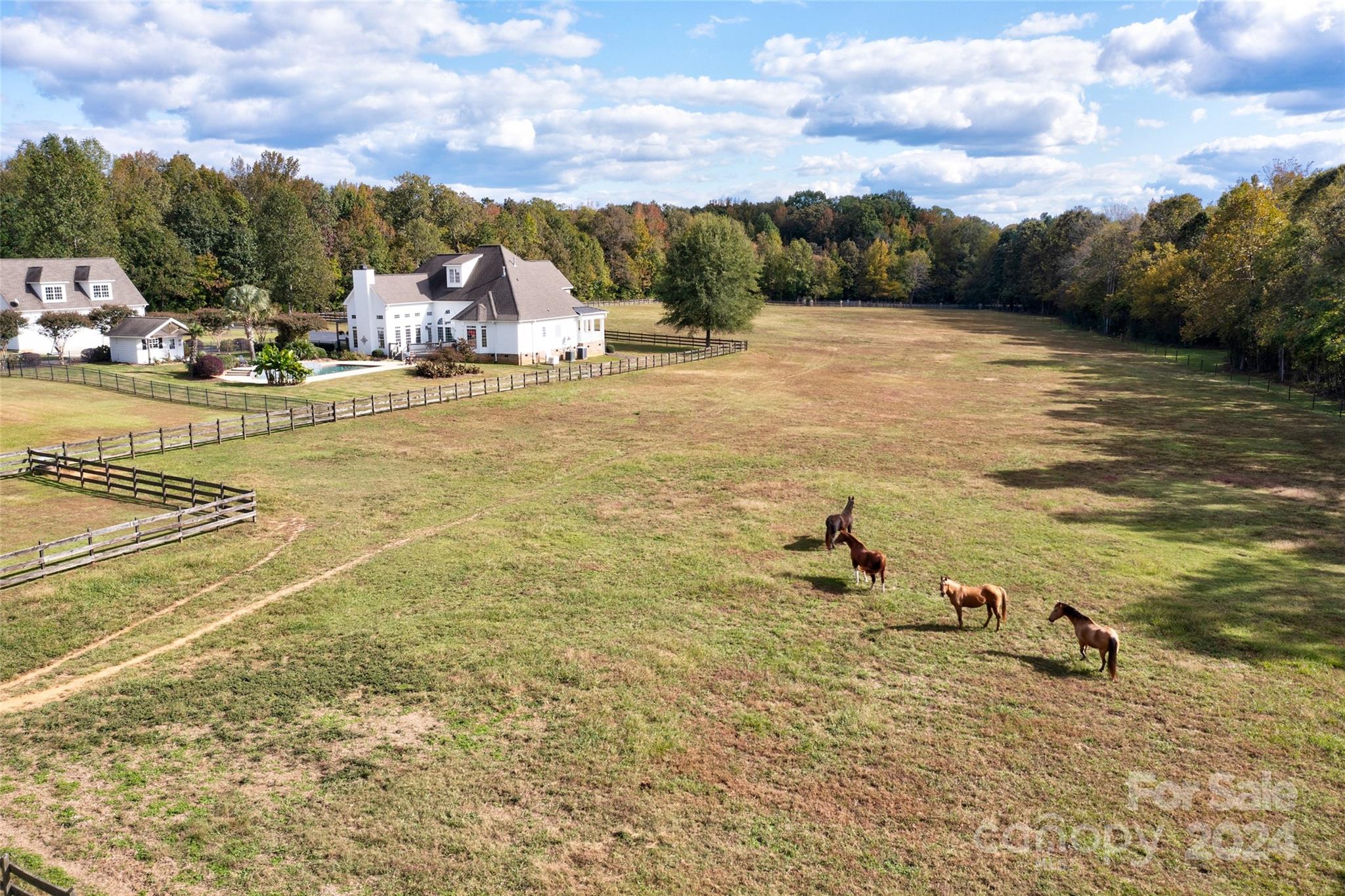 Saddlebrook - Residential