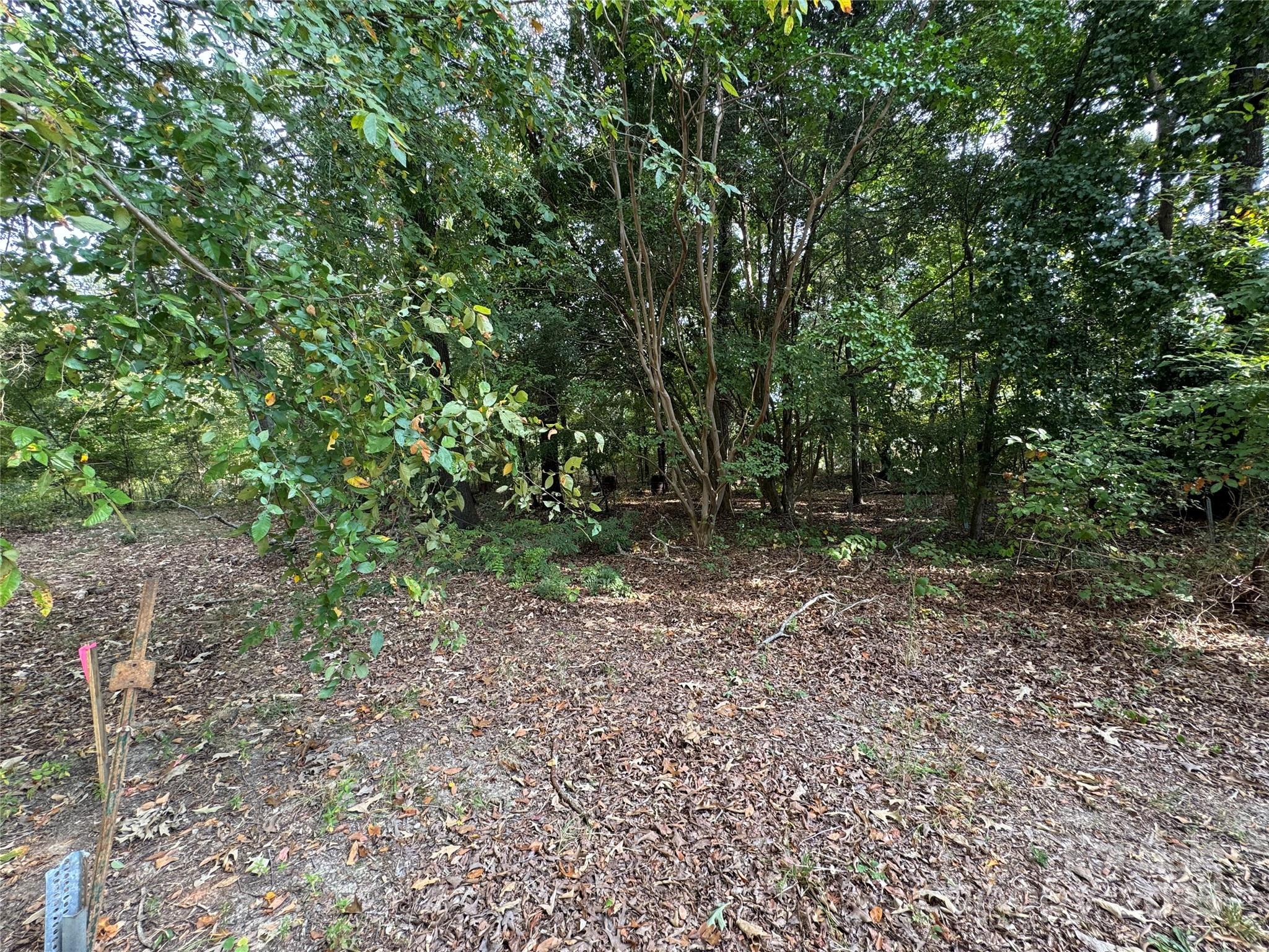 0 James Hamilton Road