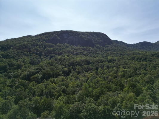 152 SULLIVAN LN, LAKE LURE, NC 28746 - Image 29cfdef7a8eb49f37ce4df6f00536f9e/1221826776
