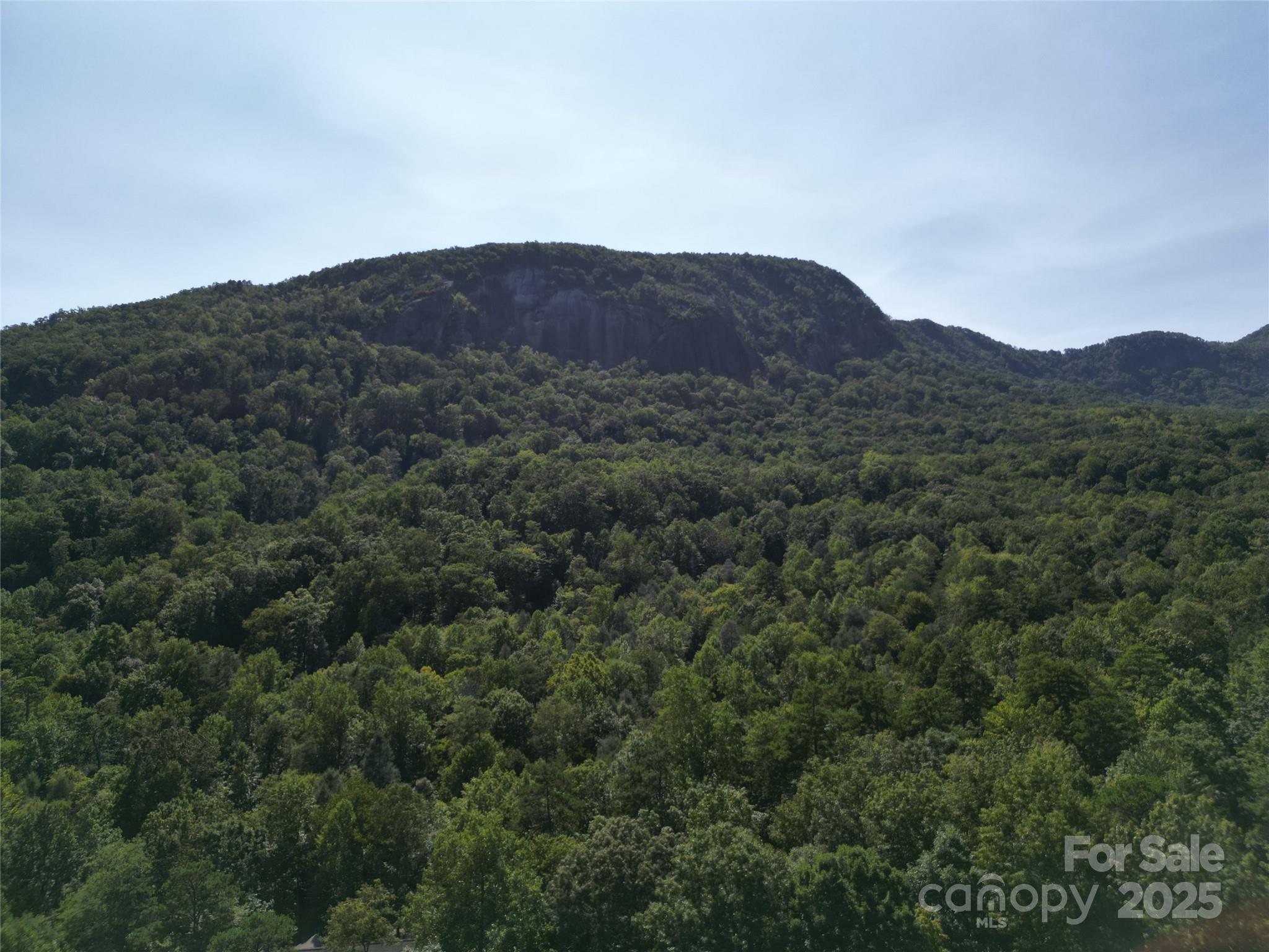 Rumbling Bald on Lake Lure - Land