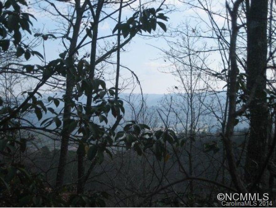 Two parcels of land (one is 14.7 acres/other is 14.8 acres)or can purchase separately. They are not adjoining.Enjoy the privacy of having your own large tract of land. Close to Blue Ridge Parkway. Private gravel road with shared maintenance.Includes PIN:8553-49-6497-000