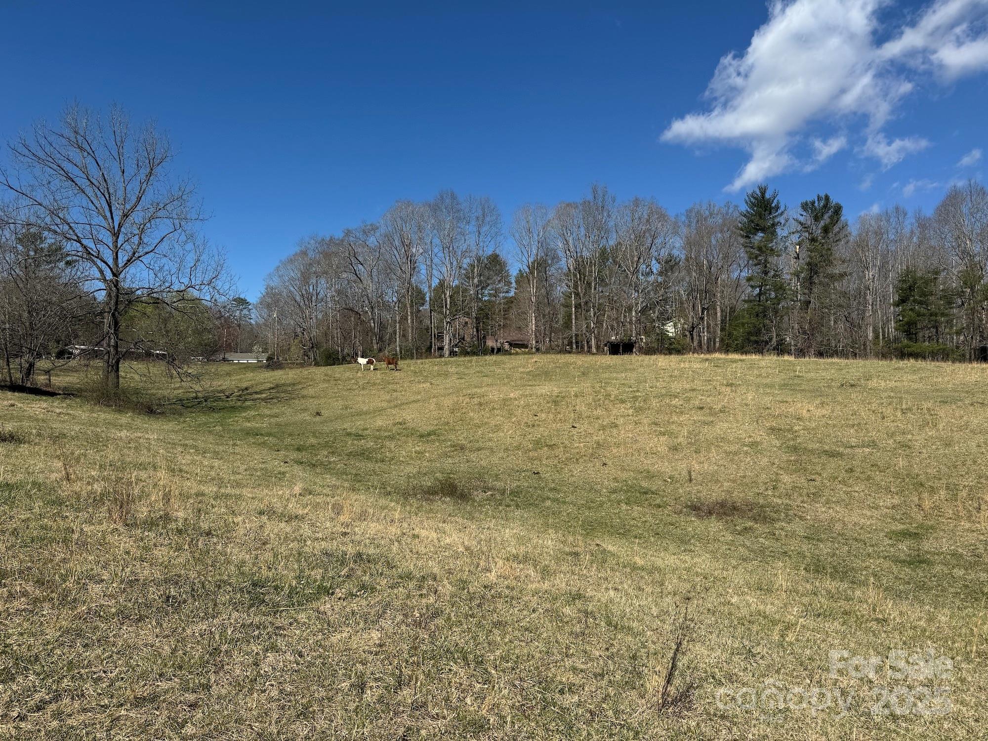 TBD Lytle Road