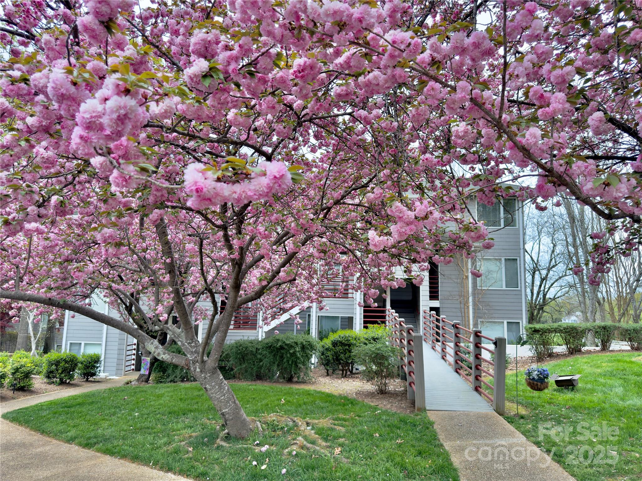 Lake Club - Residential