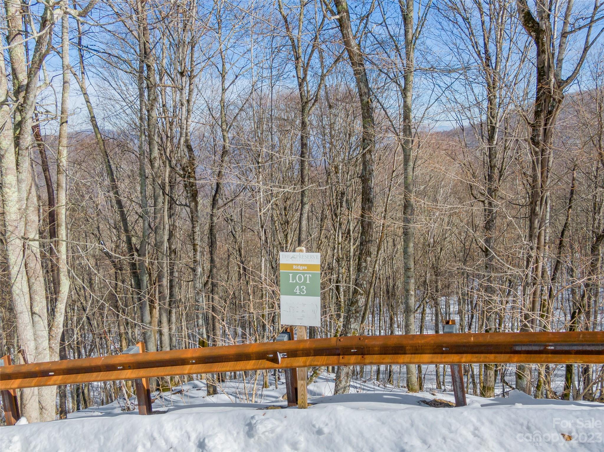 The Preserve at Wolf Laurel - Land