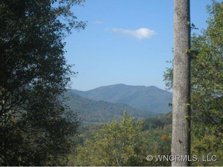 Great subdivision with a total of 12 lots and 2 homes already built.  Good paved access and long range mountain views.  This lot has driveway cut in.  Other lots also for sale.  You can combine several lots for more acreage.  See attachments for details.