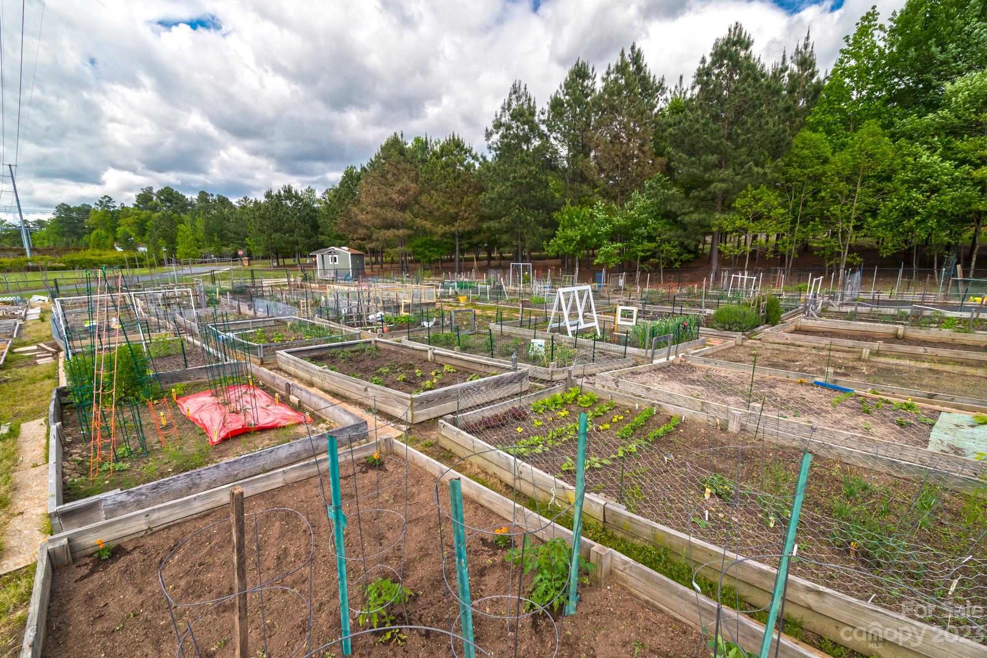 Sun City Carolina Lakes - Residential