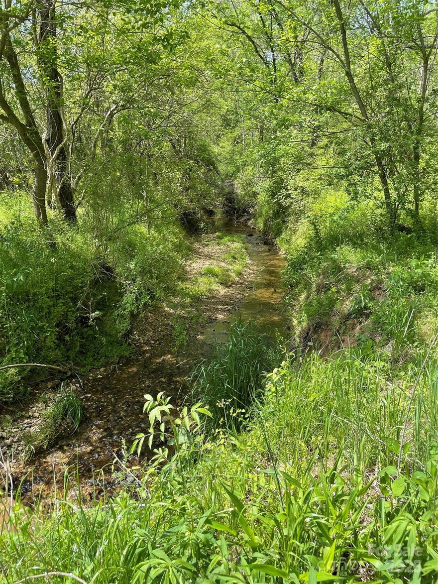 Eighty three acres of beautiful wooded and pasture land lying along Snow Creek with 1534 feet of road frontage on Snow Creek Road.  It includes approximately 71 acres of cleared and wooded land and 12 acres of bottomlands.  Two ponds are fed by a Spring and another Spring feeds a well house.  A forestry report includes planted White Oak, Red Oak, Black Walnut, Ashe and many Hickory, Poplar, and Sweet gum trees.  The zoning is R20 with minimum lot size at 25000 sq. feet or approximately 1/2 acre.  No manufactured homes allowed.  Currently, the pasture is leased for dairy cows.  This is a prime piece of beautiful land with natural amenities off of Hwy 115 and close to I77 and North Iredell High Schools.