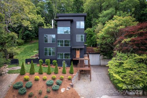 53 Buchanan Place Asheville NC 28801