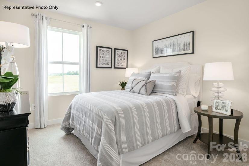 Creek Water Townhomes - Residential