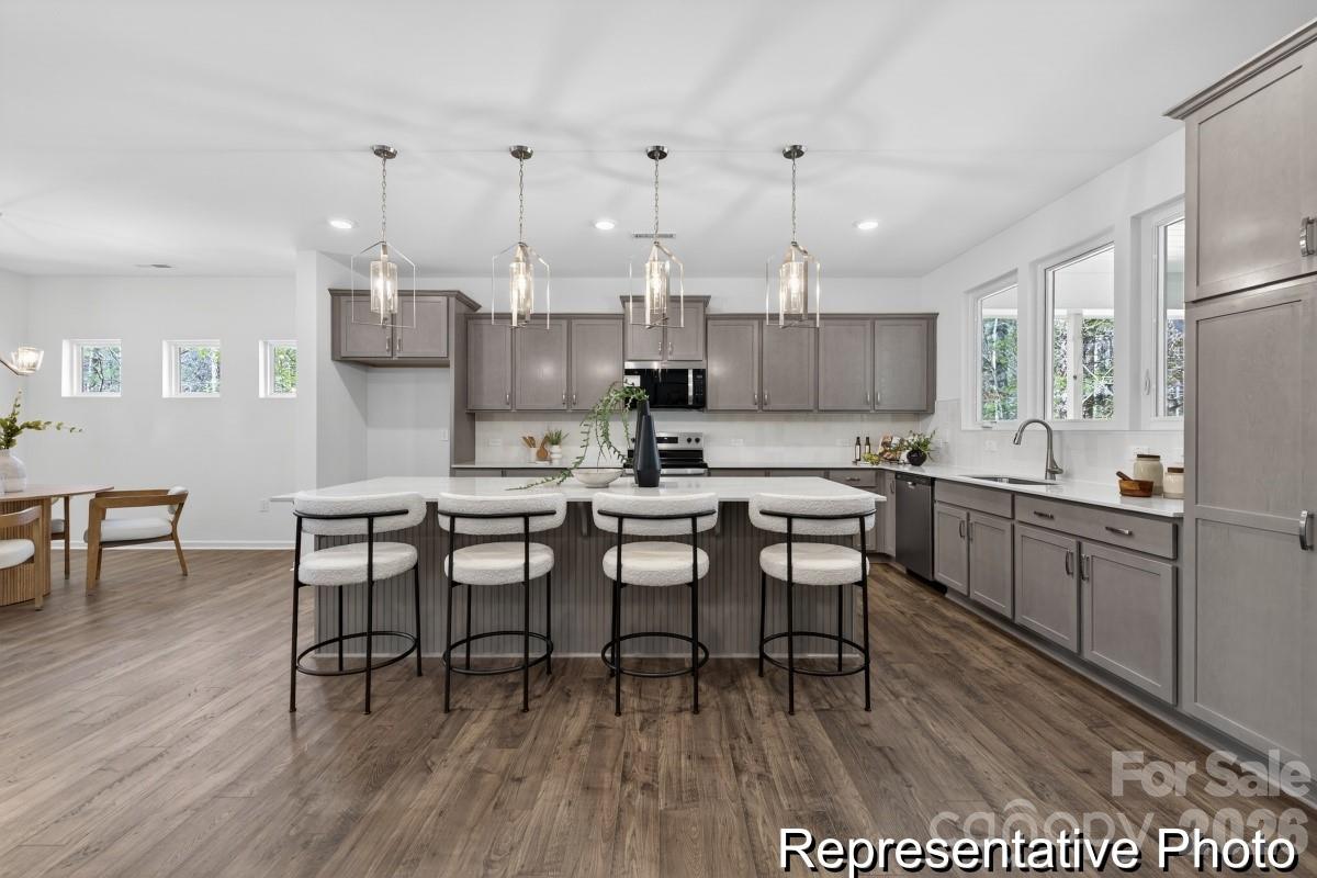 TBD Larkspur Trail 179p