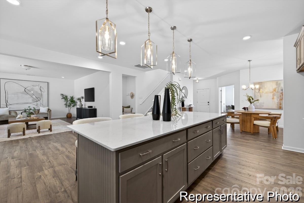 TBD Larkspur Trail 179p