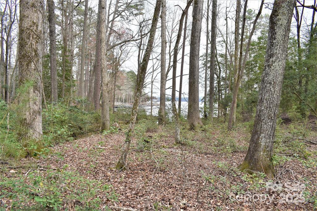 333 Pearl Bay Drive 20