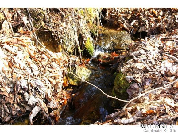 Wolf Laurel - Residential