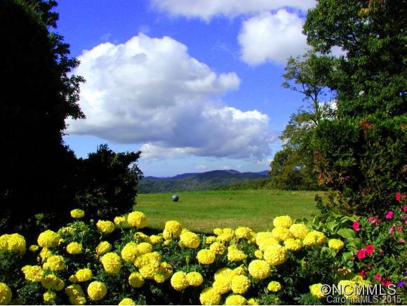 Wolf Laurel - Residential