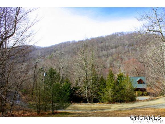 Wolf Laurel - Residential