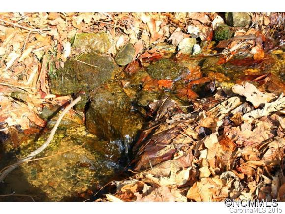 Wolf Laurel - Residential