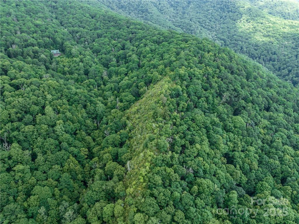 Sylva Vista Development - Land