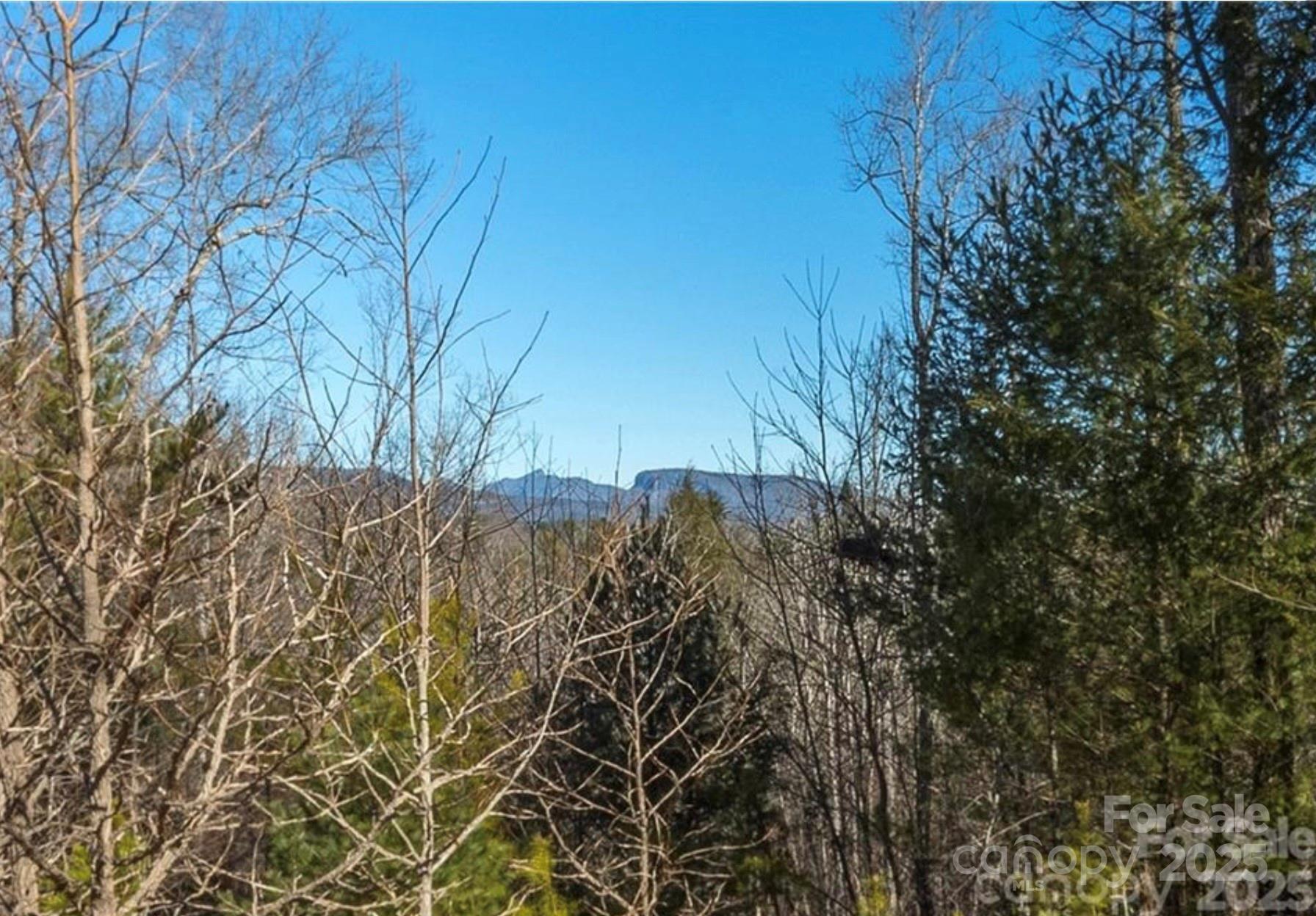 The Arbor at Lake James - Land