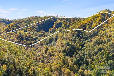 000 Hamburg Road 49 Mars Hill NC 28754