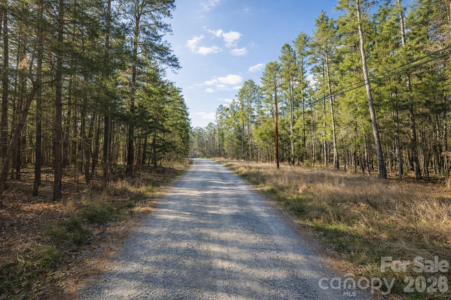 8930 Colson Avenue 54 + 55