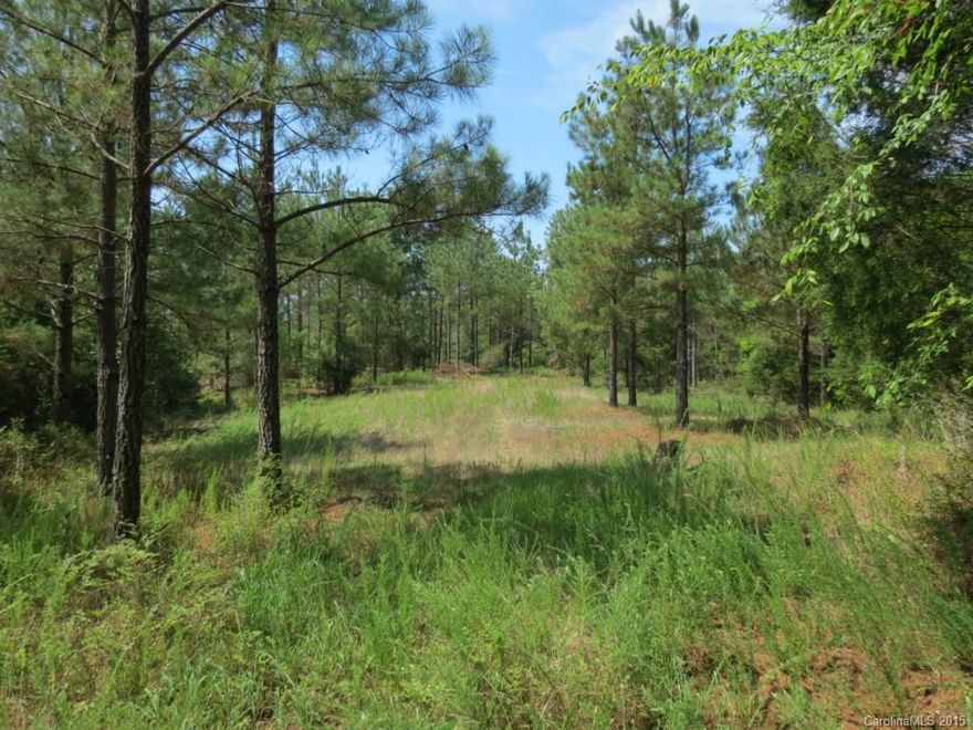 Beautiful tract of land with Pines and Hardwoods.  Property Lays very nice with a rolling topo and nice creek along the back.  Property is part of a 132 acre tract so there is more acreage available.  Pines are approximately 13 Yrs old.  This tract would make a great private home site or a recreational piece.