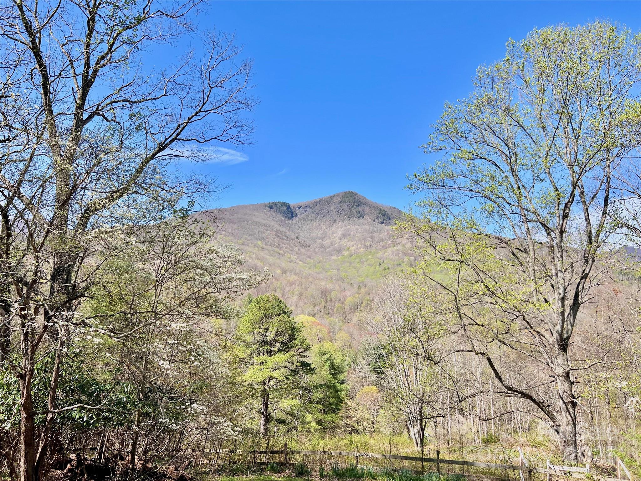 2636 Buck Mountain Road