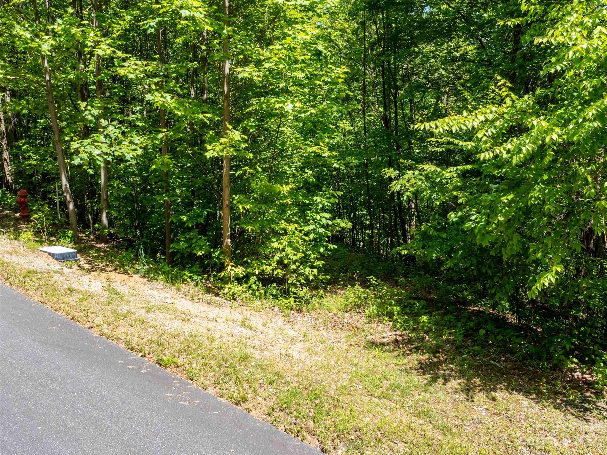 LOT 2111 Harm Creek Loop
