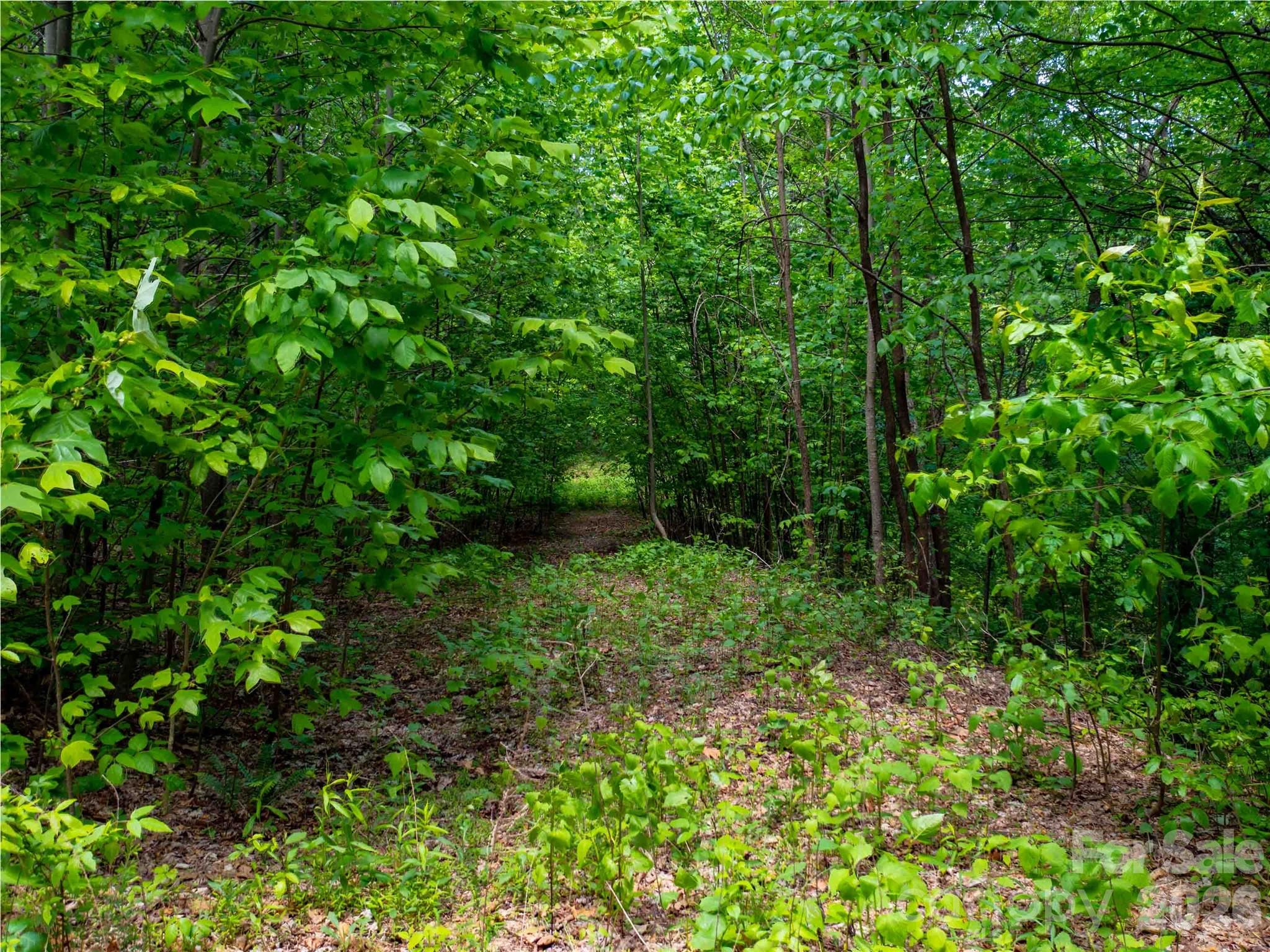 Brights Creek - Land