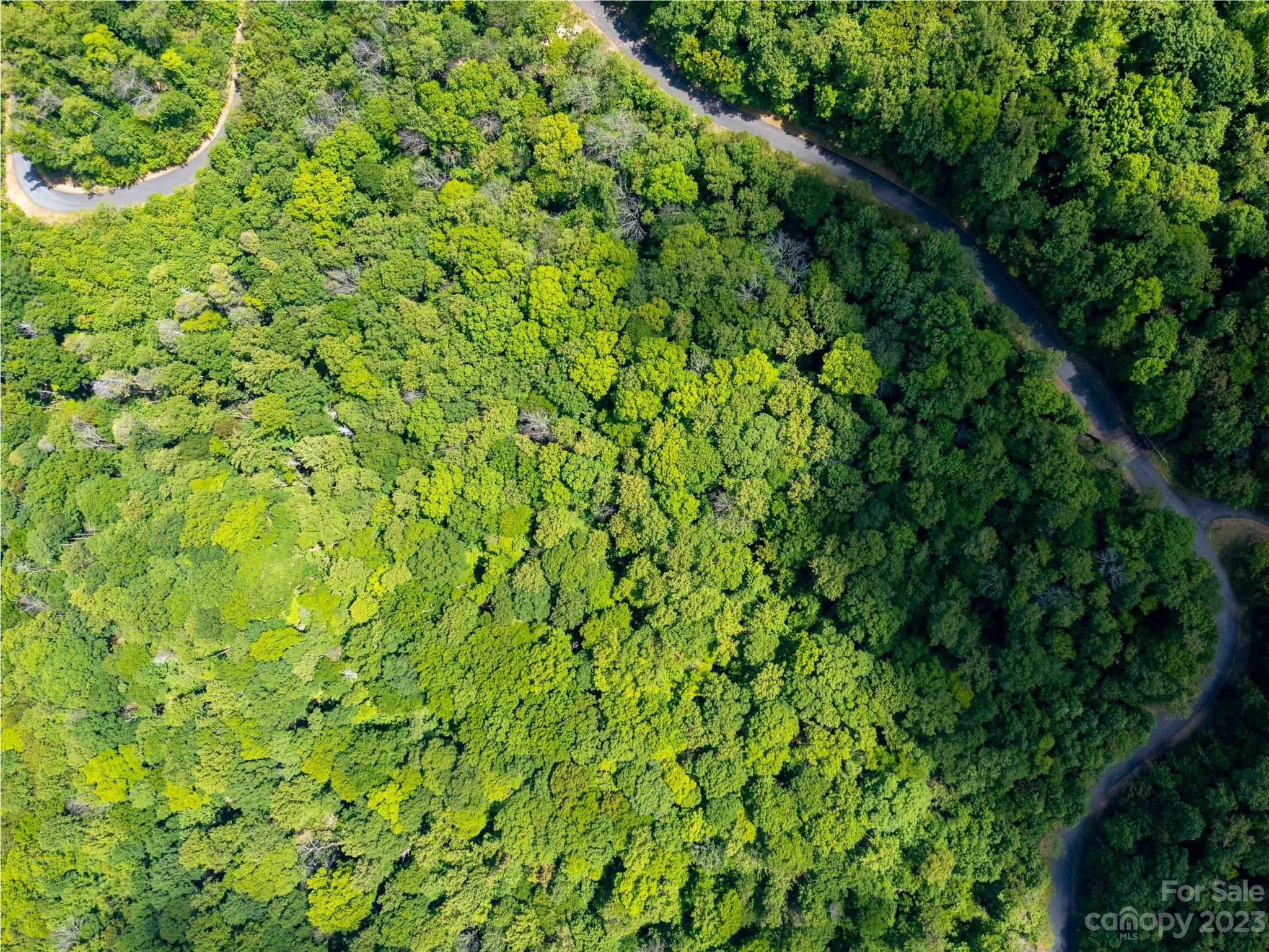 LOT 2111 Harm Creek Loop