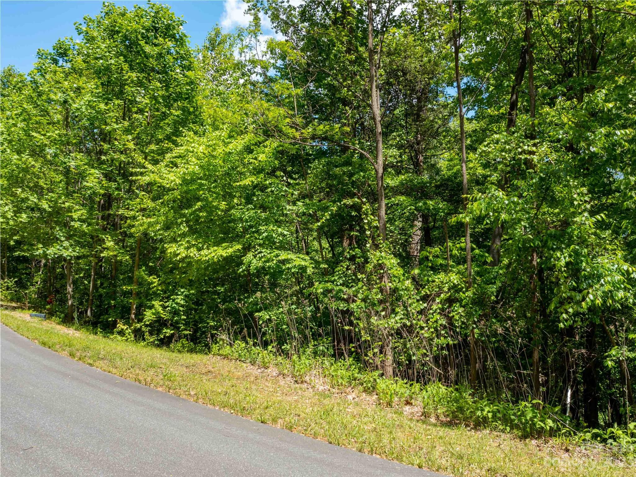 LOT 2111 Harm Creek Loop