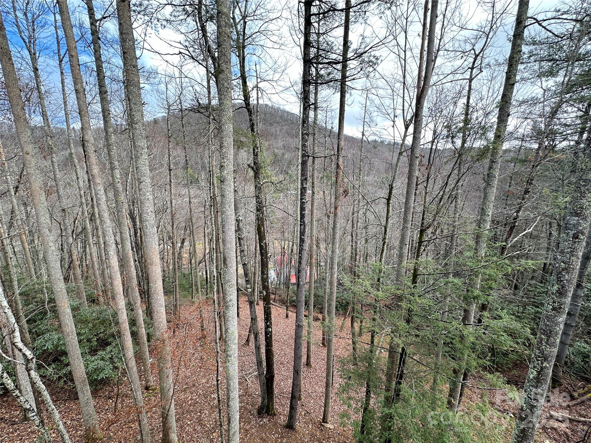 Blowing Rock, North Carolina 28605, United States, 4 Bedrooms Bedrooms, ,6 BathroomsBathrooms,Residential,Active,15222