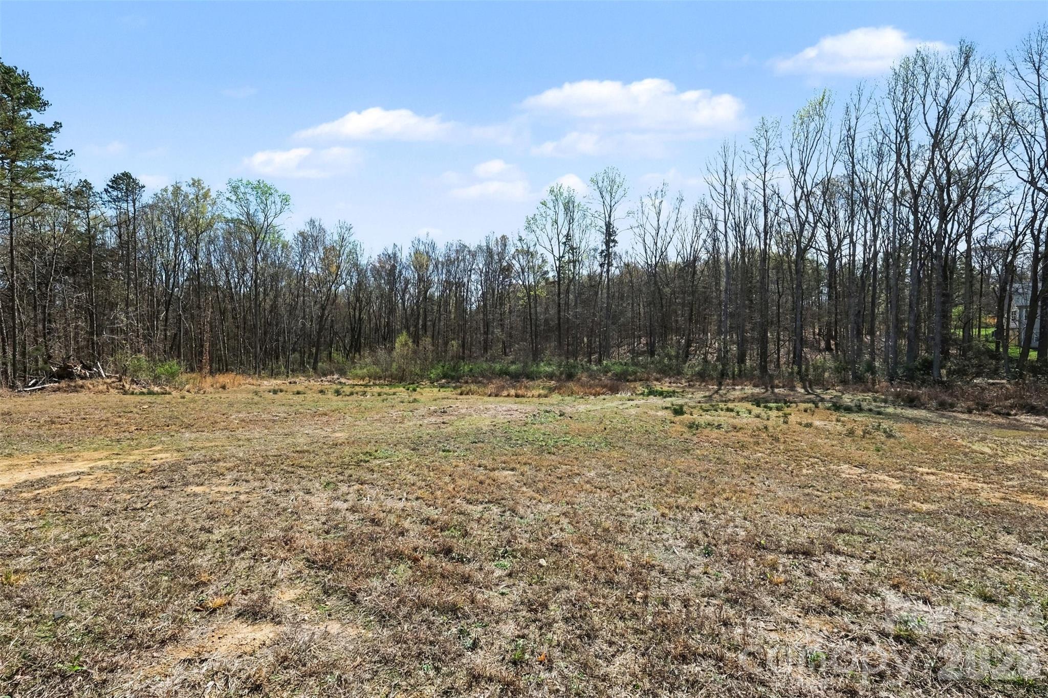 Arlington Forest - Land