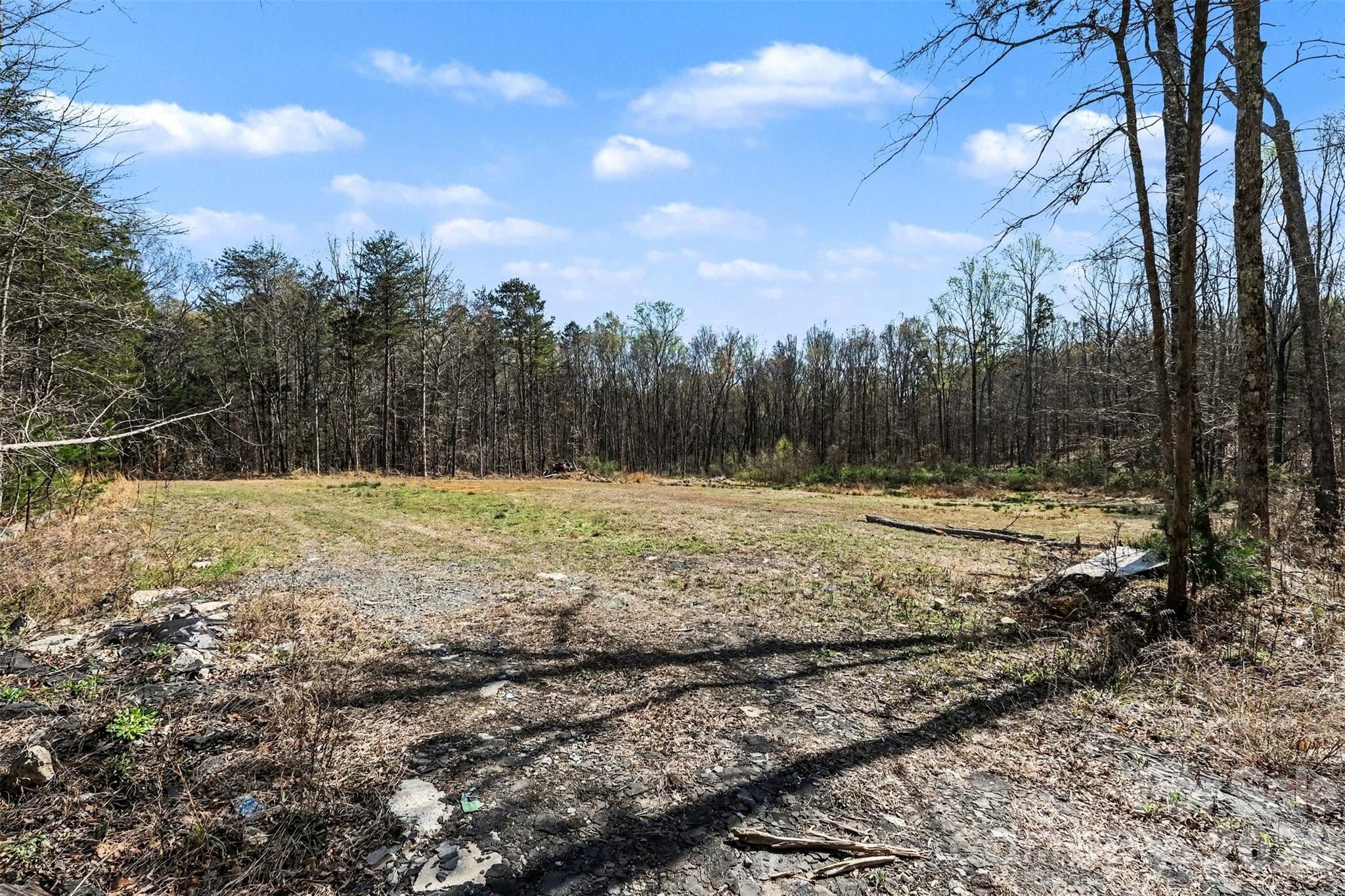 Arlington Forest - Land