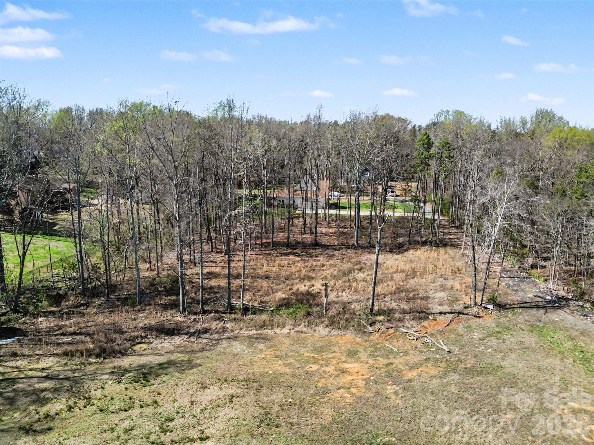 Arlington Forest - Land