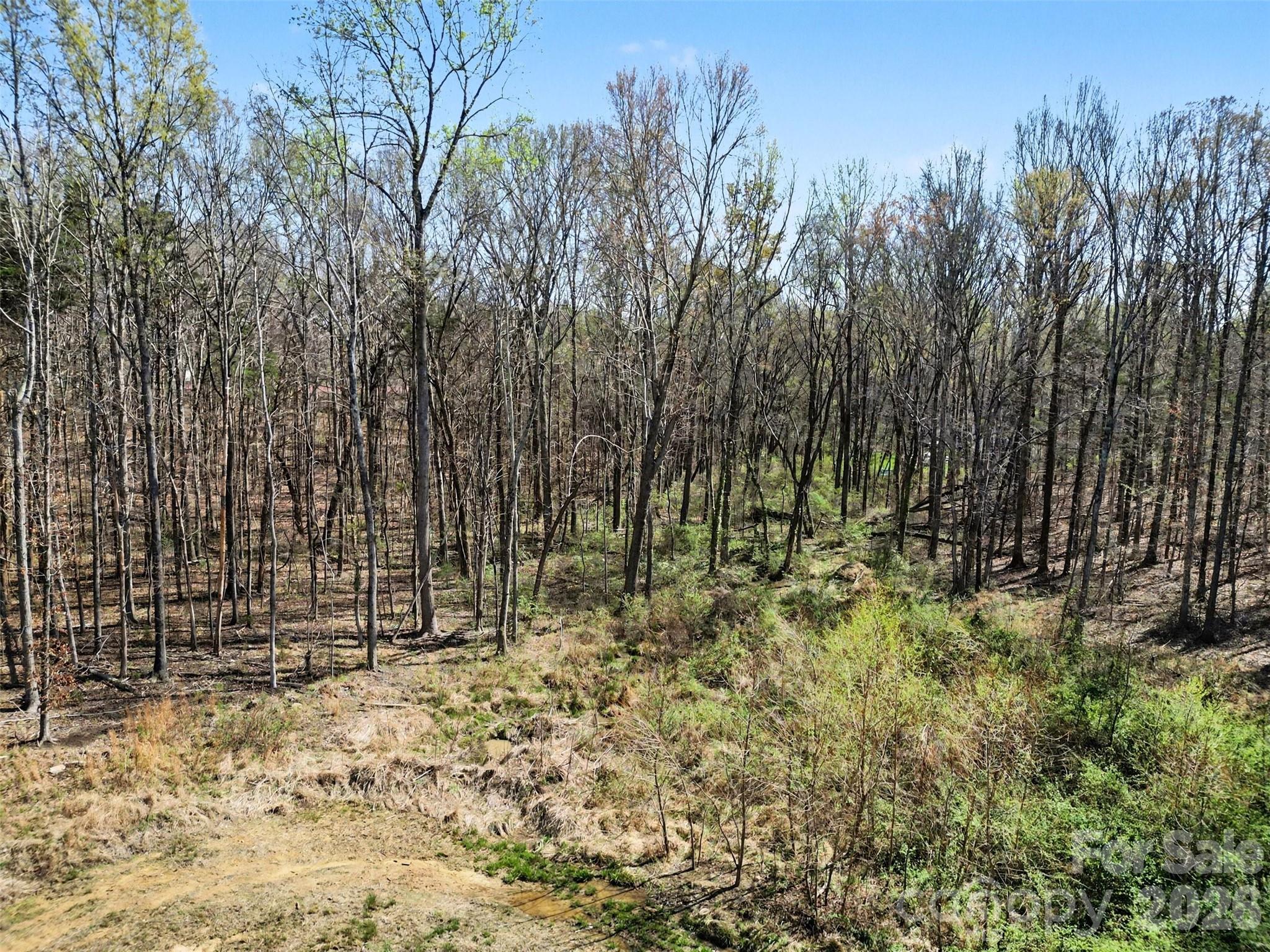 Arlington Forest - Land