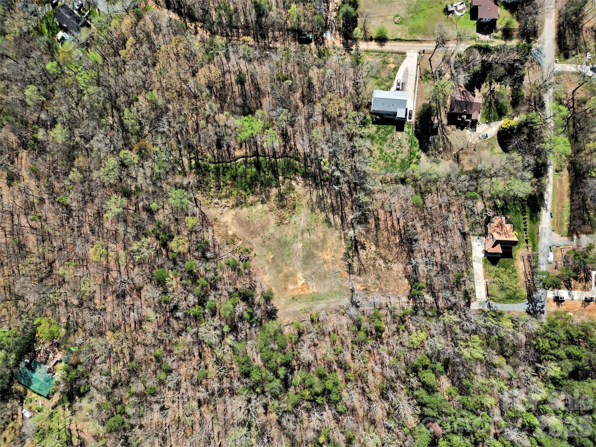 Arlington Forest - Land