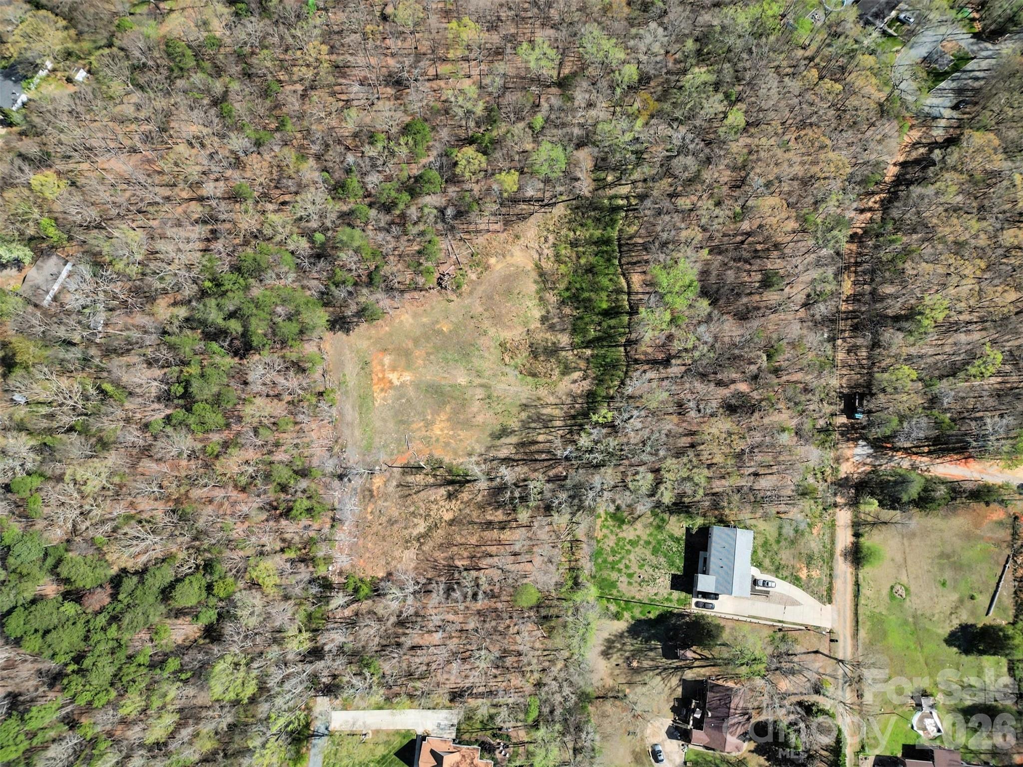 Arlington Forest - Land