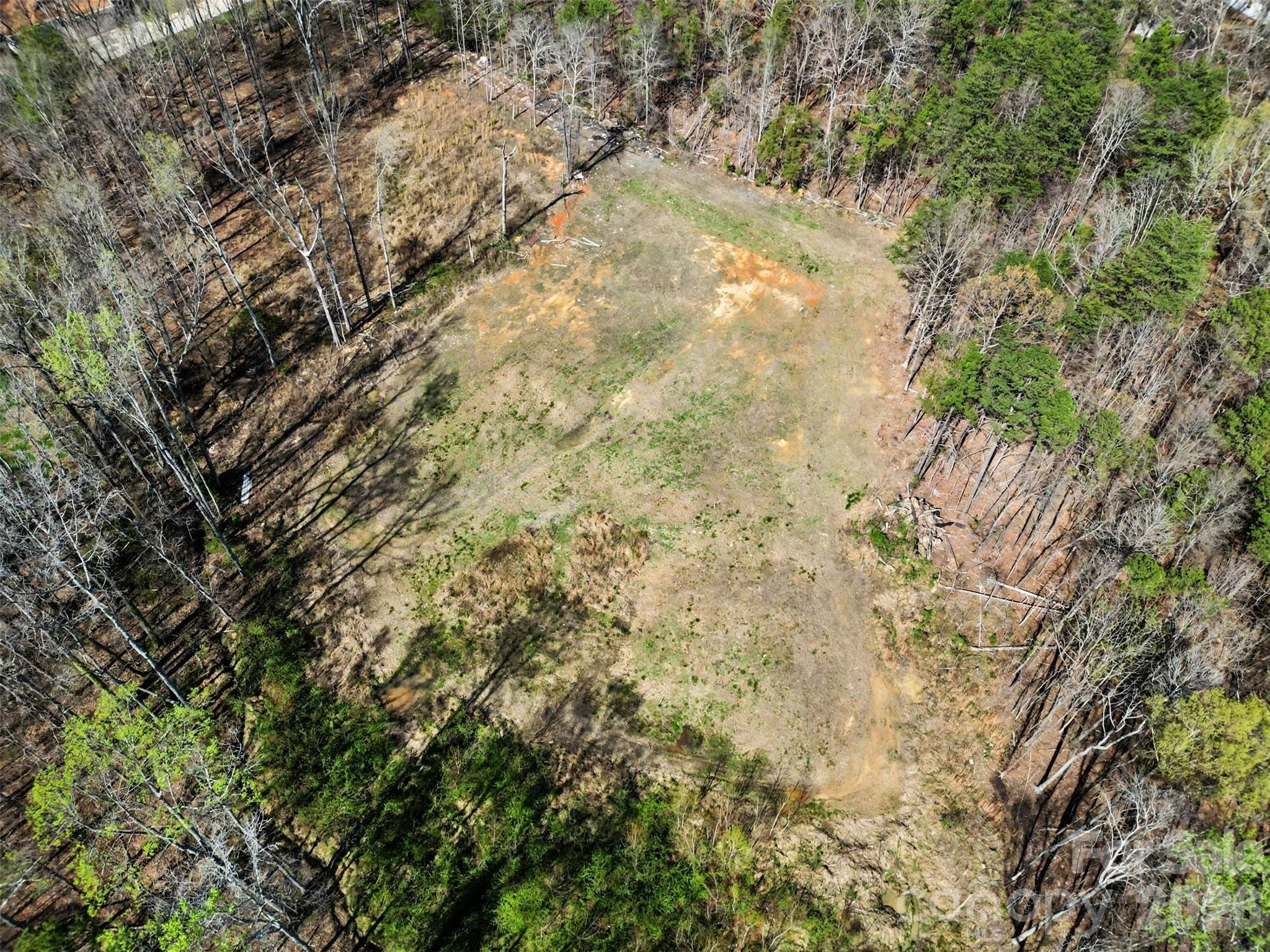 Arlington Forest - Land