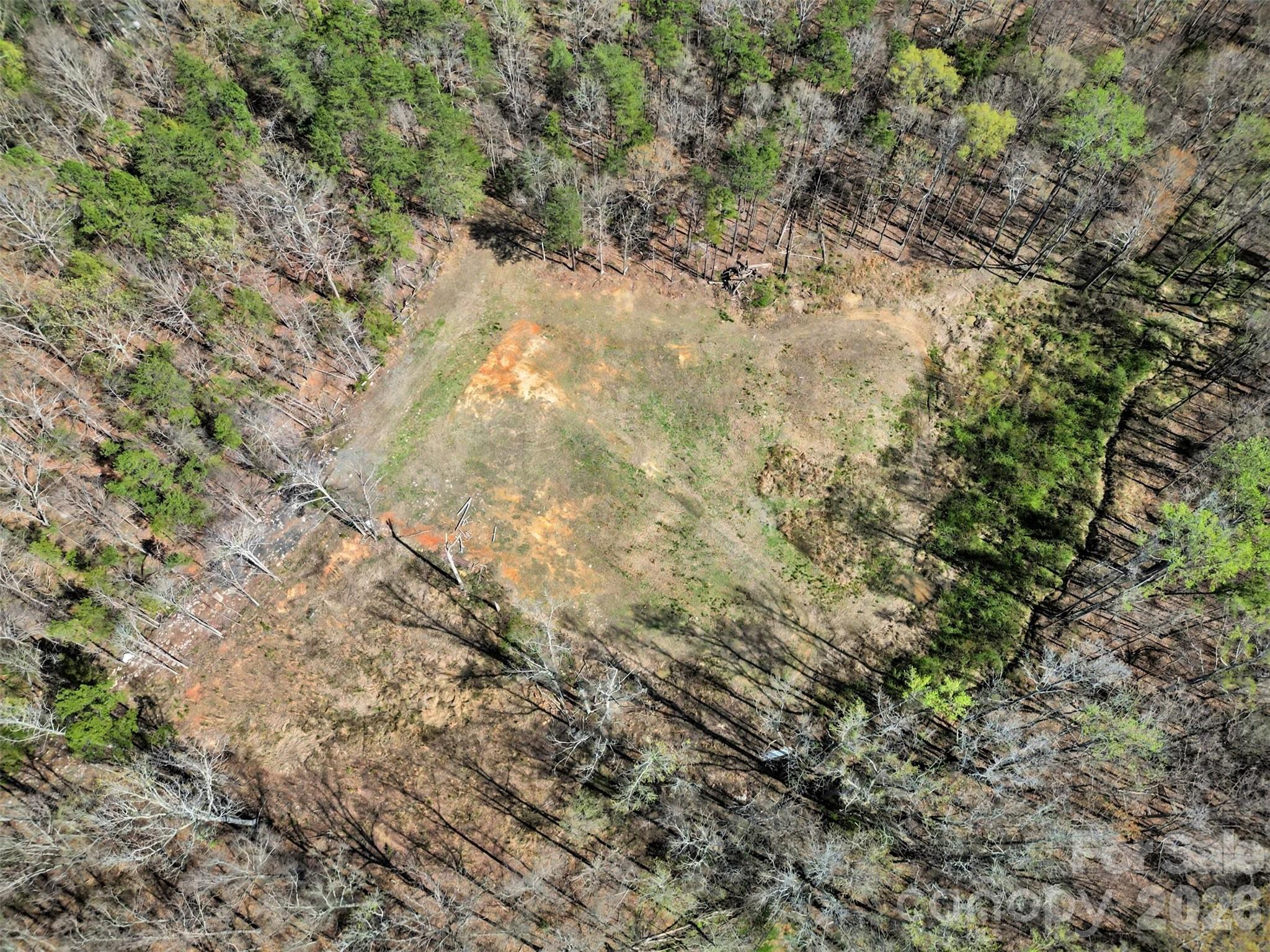 Arlington Forest - Land