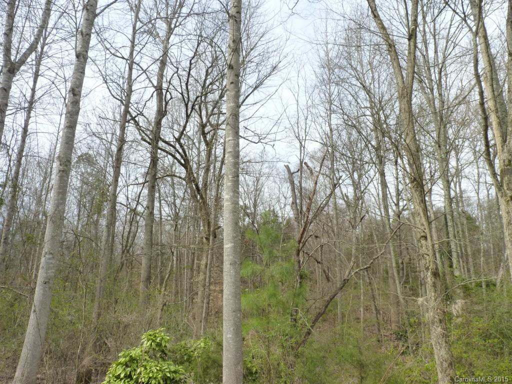 Lakeland Hills - Land