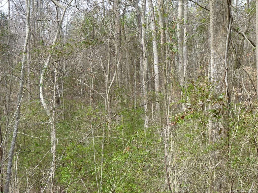 Lakeland Hills - Land