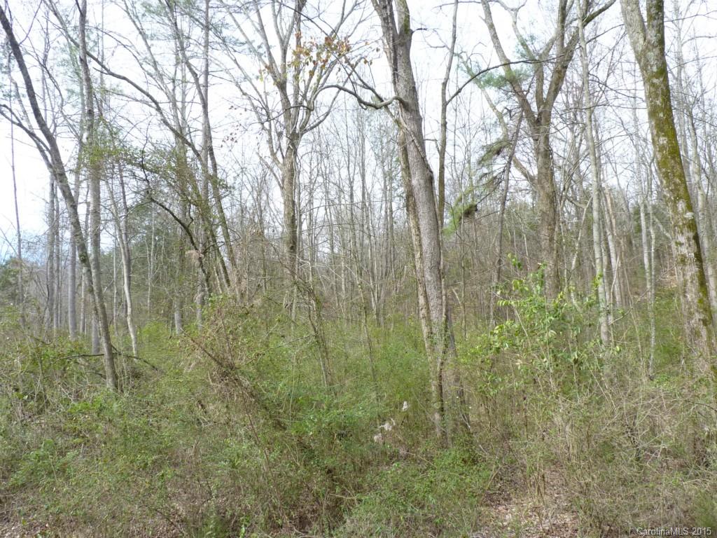 Lakeland Hills - Land