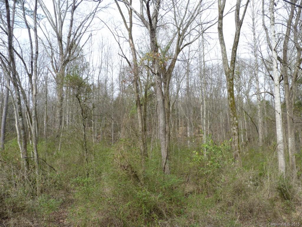 Lakeland Hills - Land