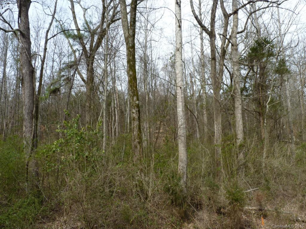 Lakeland Hills - Land