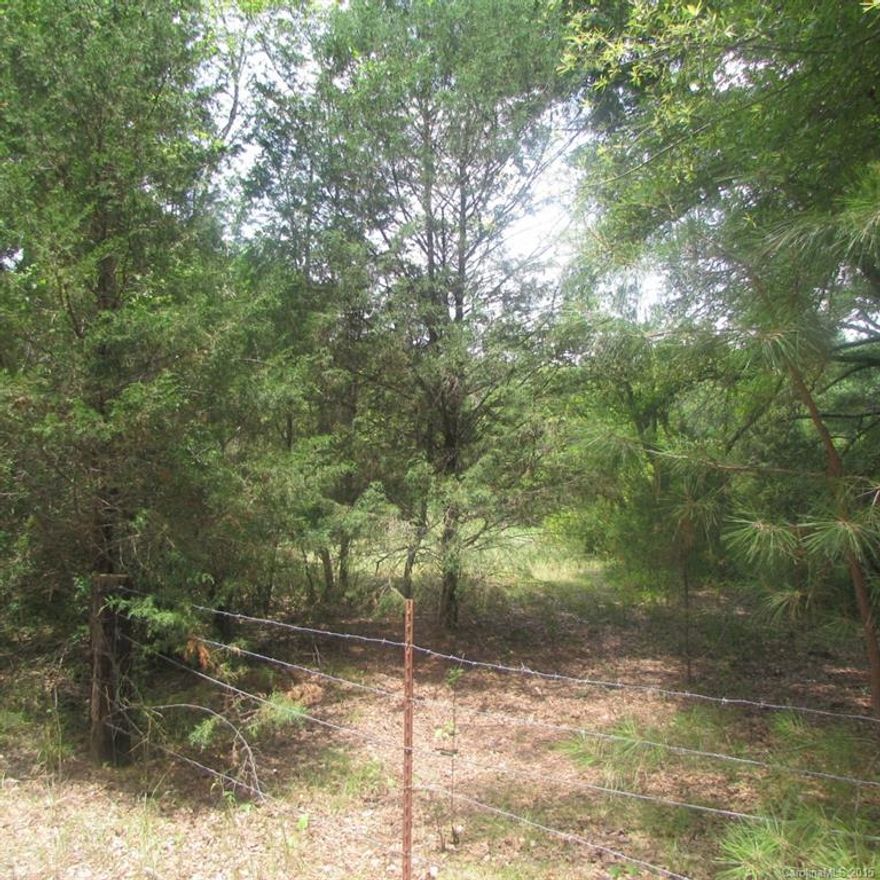 Absolute beautiful tract of land just awaiting  your dream home.  Almost twenty-eight acres with lots of road frontage on secluded county road.  Perfect for the horse lover or nature enthusiast.  Come take a look today.