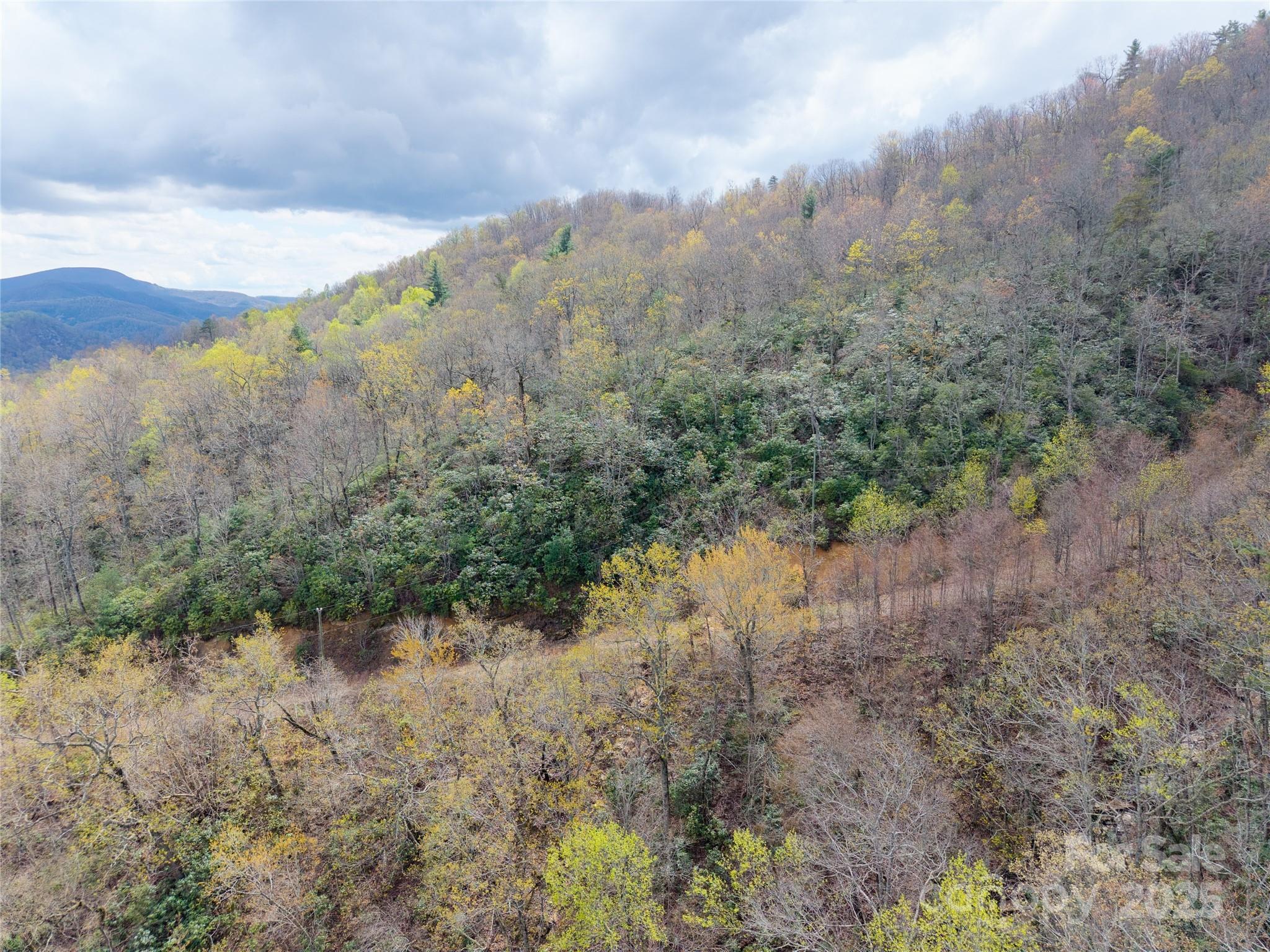 Hardison Estate - Land