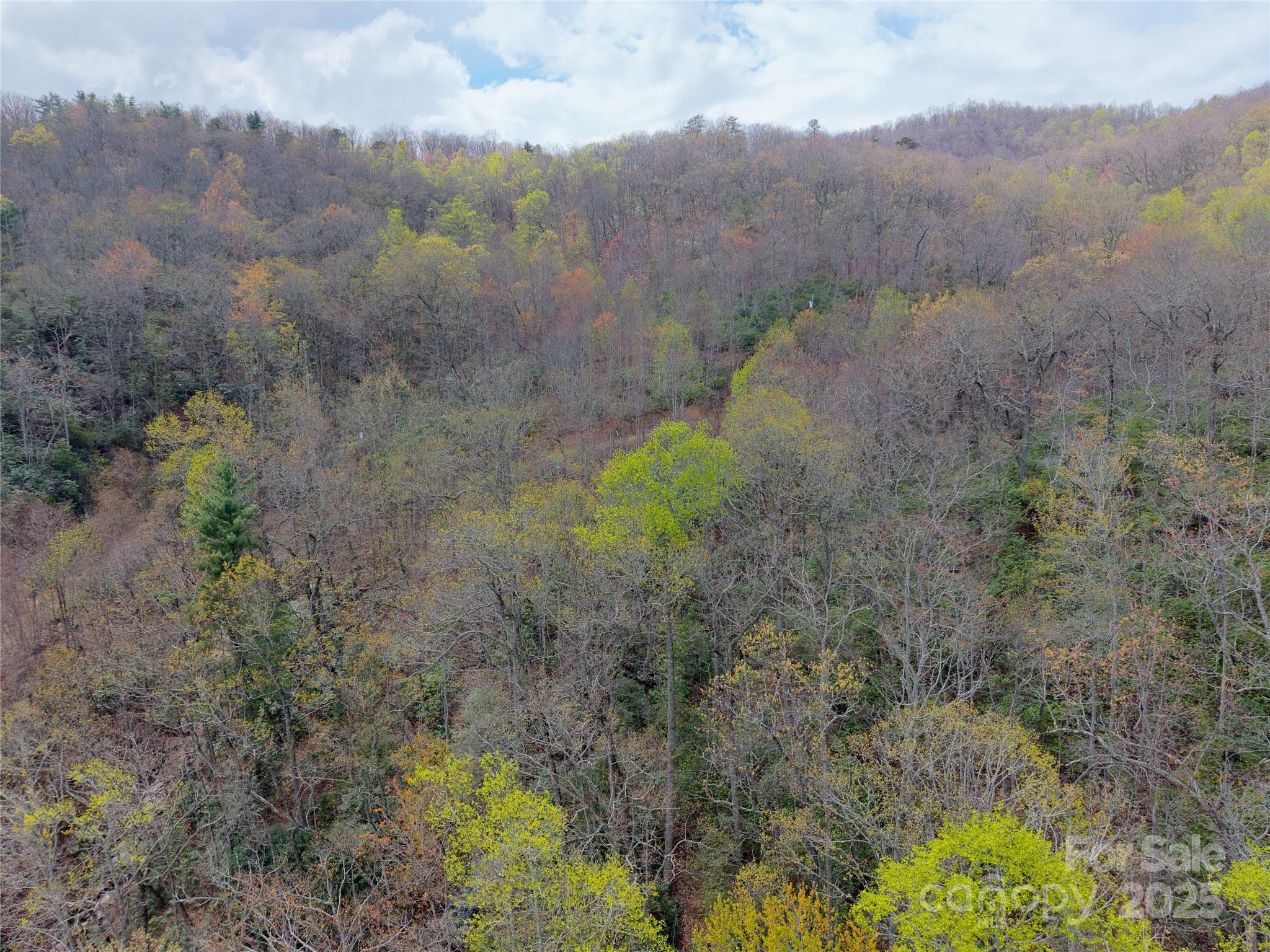 Hardison Estate - Land