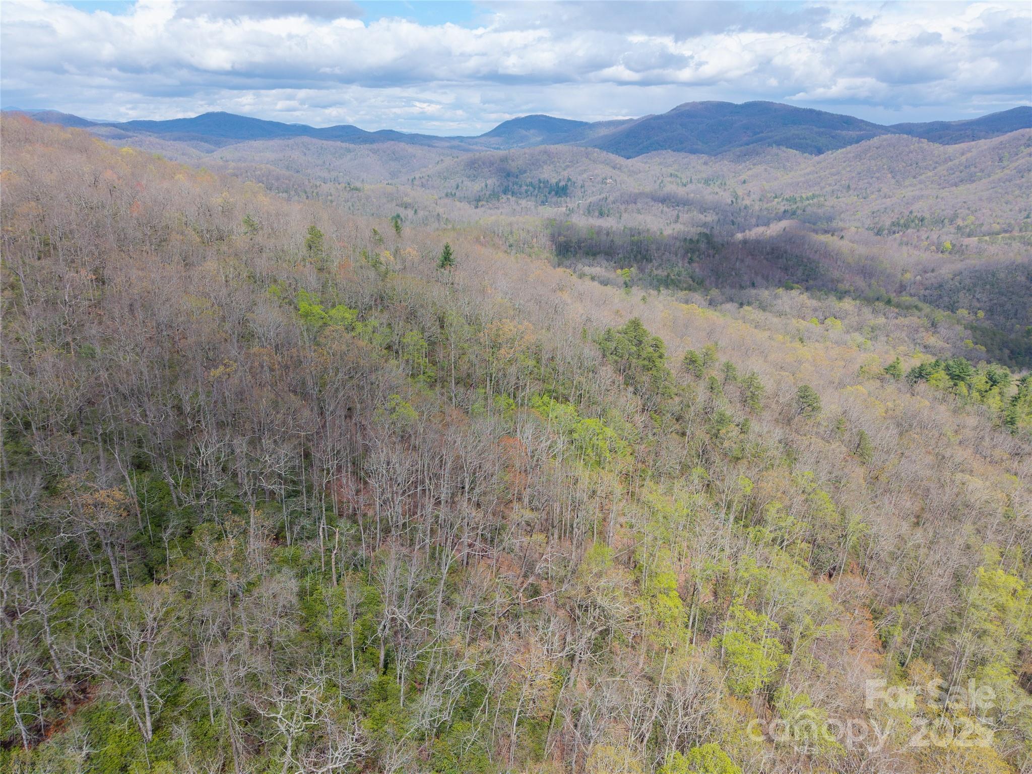 Hardison Estate - Land